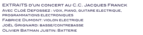 EXTRAITS d’un concert au C.C. Jacques Franck
Avec Cloé Defossez : voix, piano, guitare electrique, programmations electroniques
Fabrice Dumont: violon electrique
Joël Grignard: basse/contrebasse
Olivier Batman Justin: Batterie